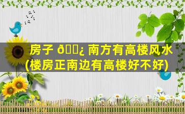 房子 🌿 南方有高楼风水(楼房正南边有高楼好不好)